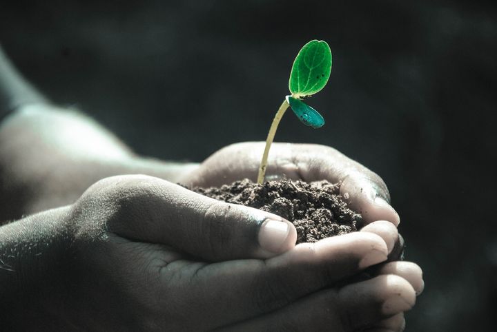 Foto von Pexels--2286921: https://www.canva.com/photos/MADQ4wPYyrY-hands-planting-seedlings/